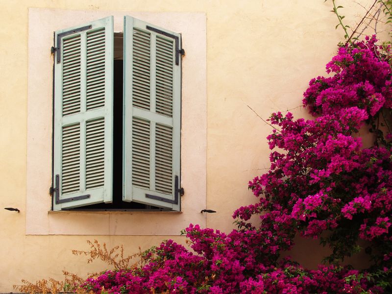 Colorful Floral Shutter Painting